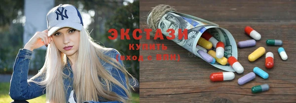 индика Новодвинск