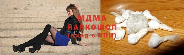 индика Новодвинск