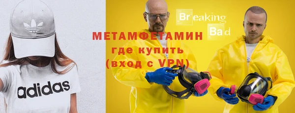 индика Новодвинск