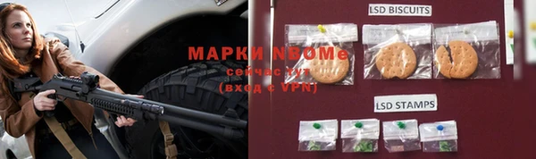 индика Новодвинск