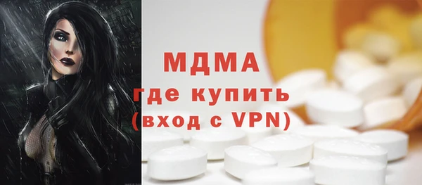 индика Новодвинск