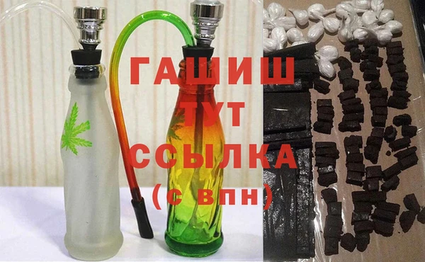 индика Новодвинск