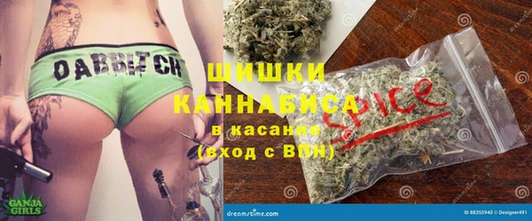 индика Новодвинск