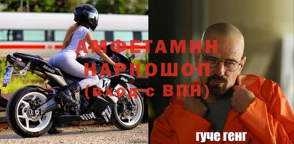 индика Новодвинск