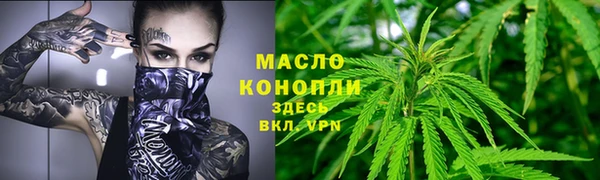 МДПВ Новозыбков