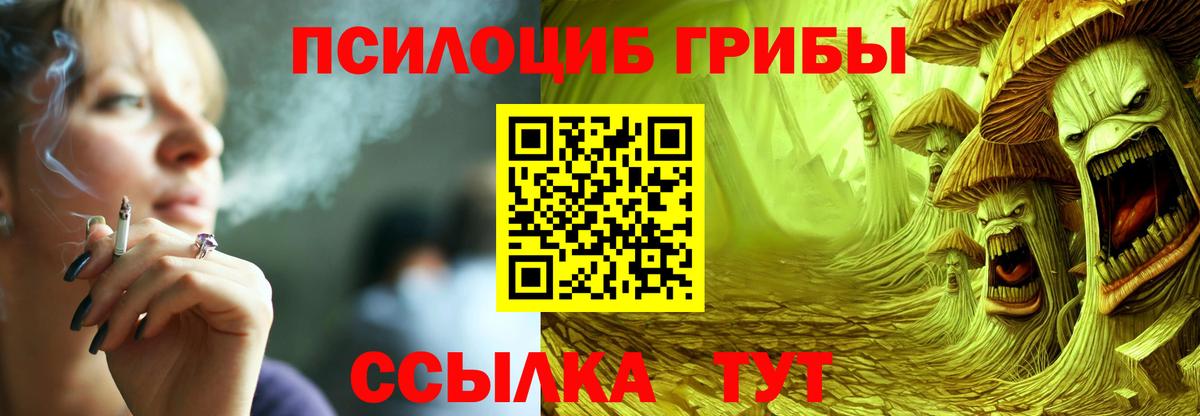Псилоцибиновые грибы Psilocybe Скопин
