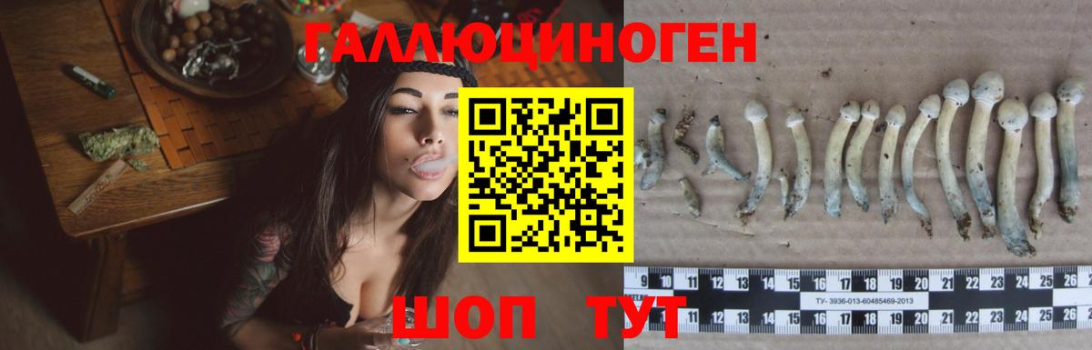 Псилоцибиновые грибы прущие грибы  Галлюциногенные грибы прущие грибы  Скопин  Вход с VPN 